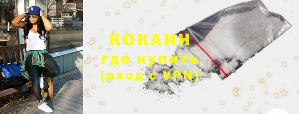 ешки Арсеньев