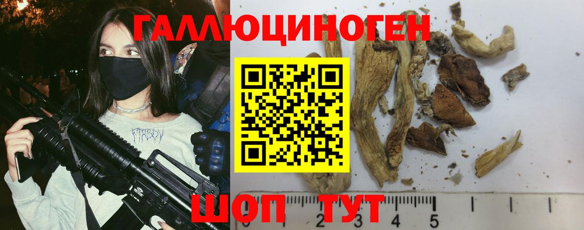 А ПВП СК   Строитель  НБОМе  Где купить наркотики?  Меф   Бошки Шишки  ГАШ  Вход с VPN 