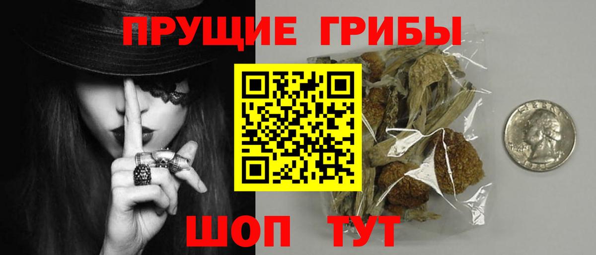 Псилоцибиновые грибы ЛСД  Галлюциногенные грибы прущие грибы  Вход с VPN  Строитель 