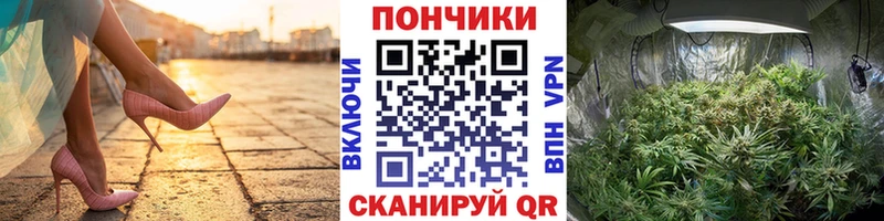 mega онион  Строитель  Бошки Шишки сатива 